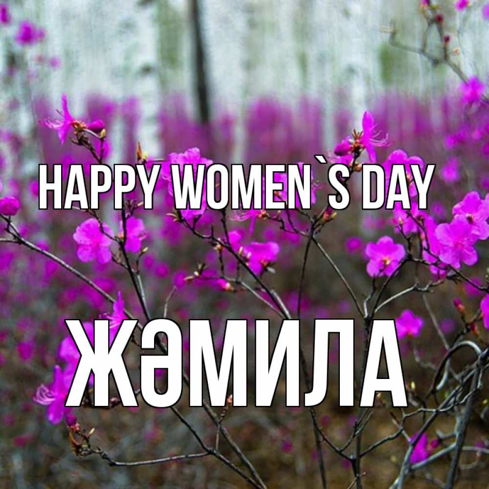 Greetings card с именем, ЖӘМИЛА happy women`s day дикие цветы Greetings with text for free download 